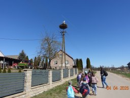 Spacer w poszukiwaniu wiosny
